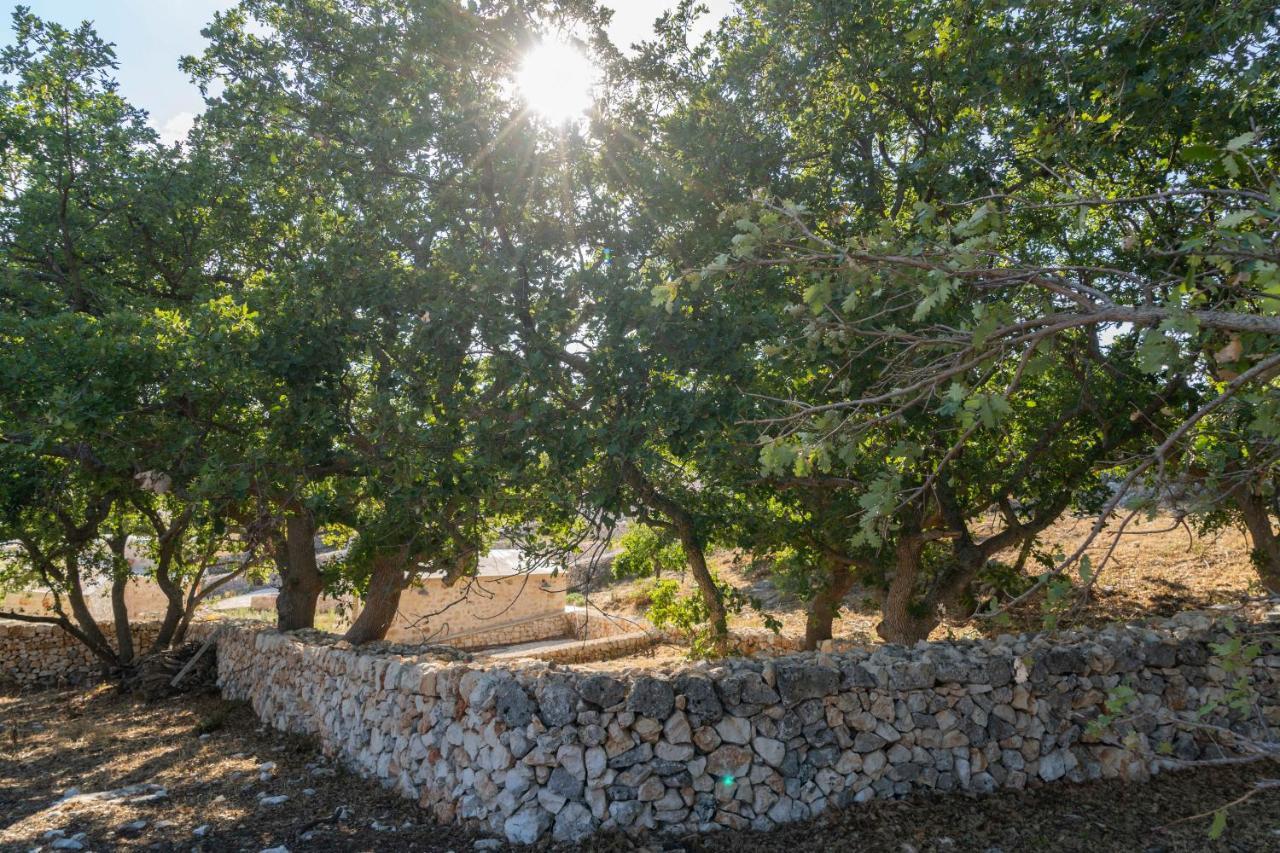 Donnapaola Modern Farm Villa Altamura Dış mekan fotoğraf